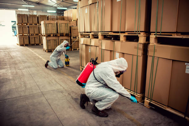 Best Pest Control Near Me  in Marshall, TX