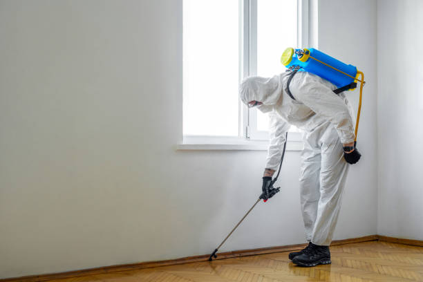 Best Emergency Pest Control  in Marshall, TX