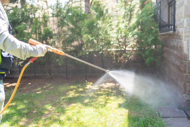 Best Spider Control Near Me  in Marshall, TX