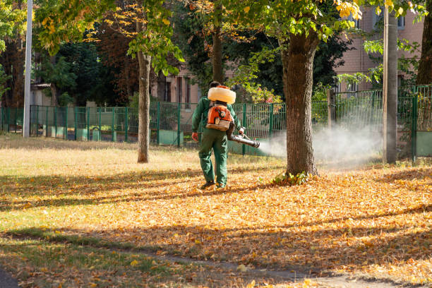 Best Affordable Pest Control Services  in Marshall, TX