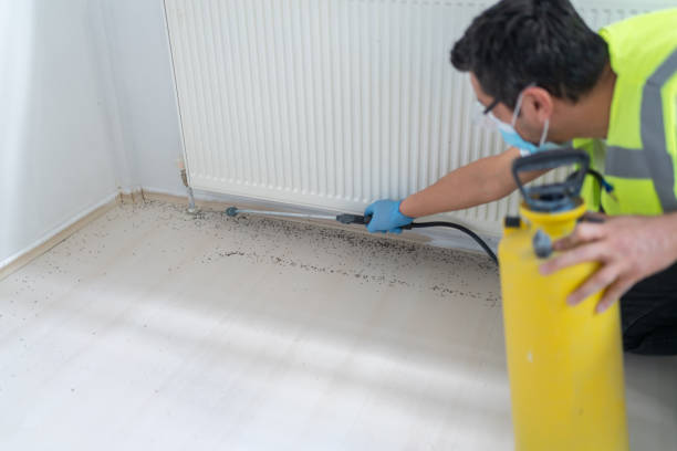 Best Commercial Pest Control Services  in Marshall, TX