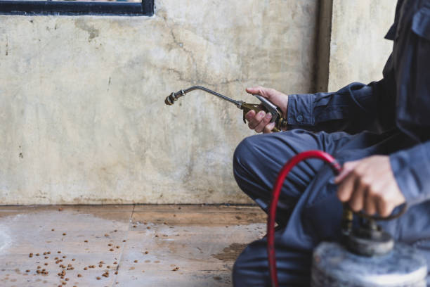 Best Wasp Removal Services  in Marshall, TX