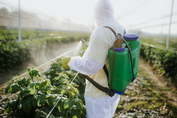 Best Bed Bug Extermination  in Marshall, TX